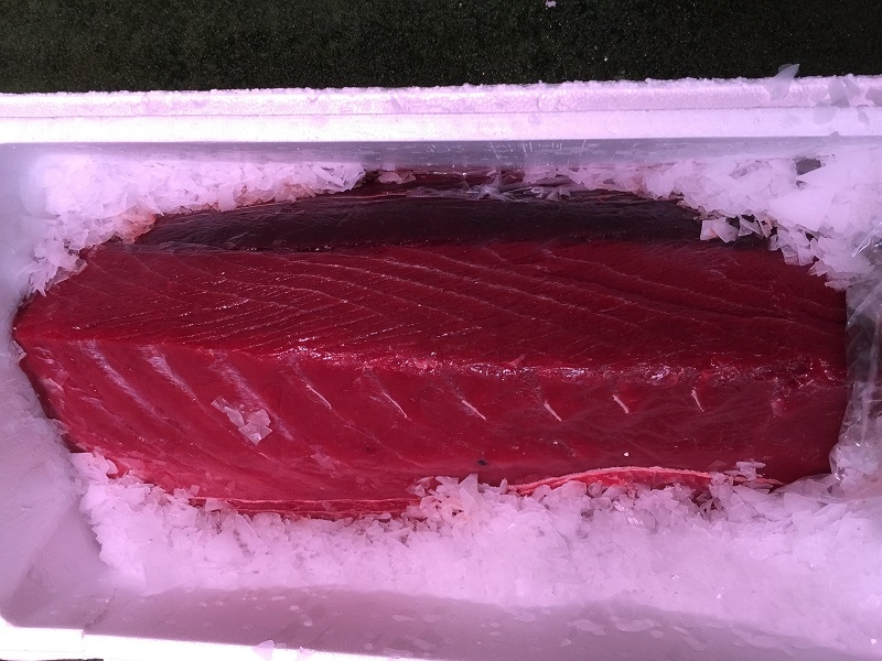 Red Tuna